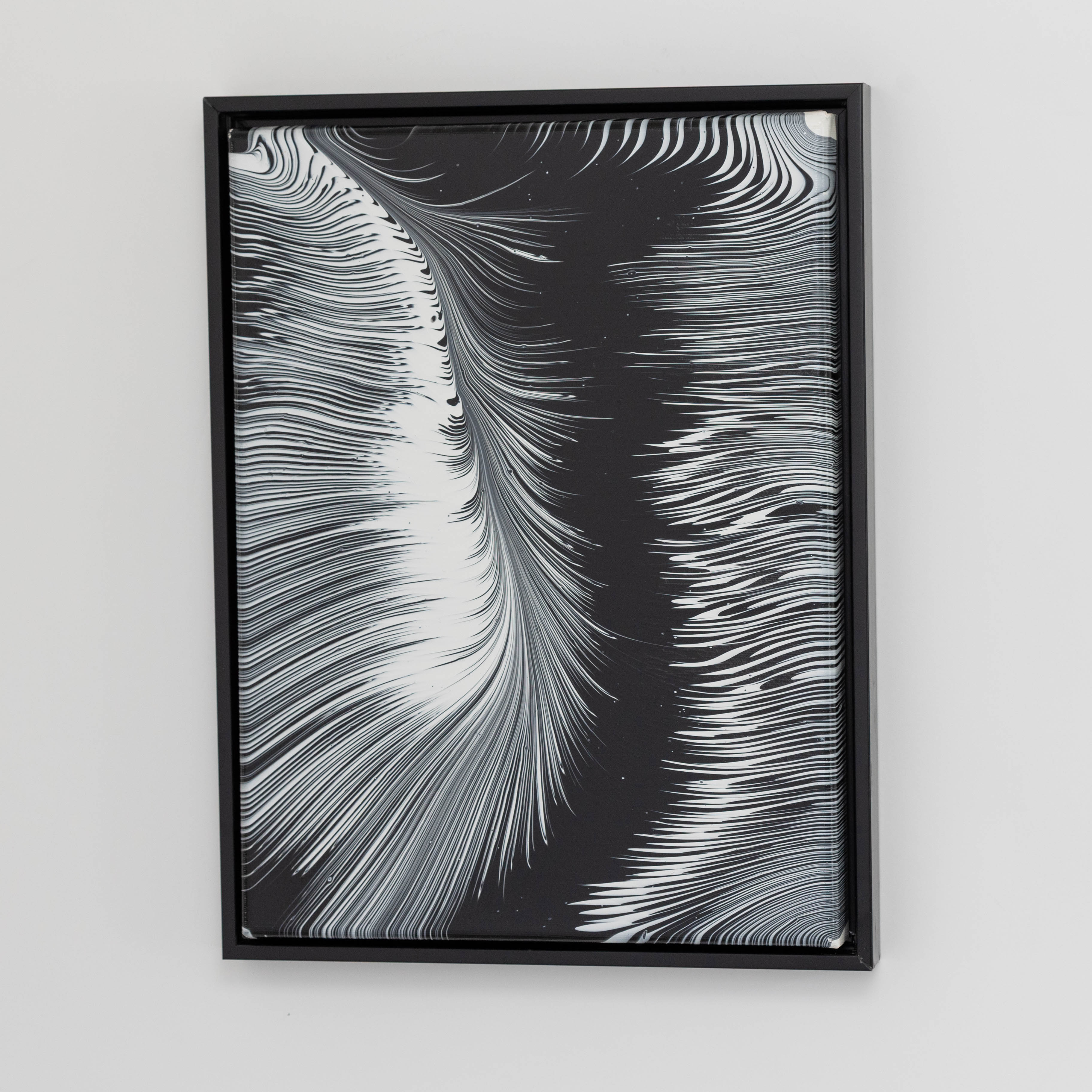 Monochrome Feathers 1