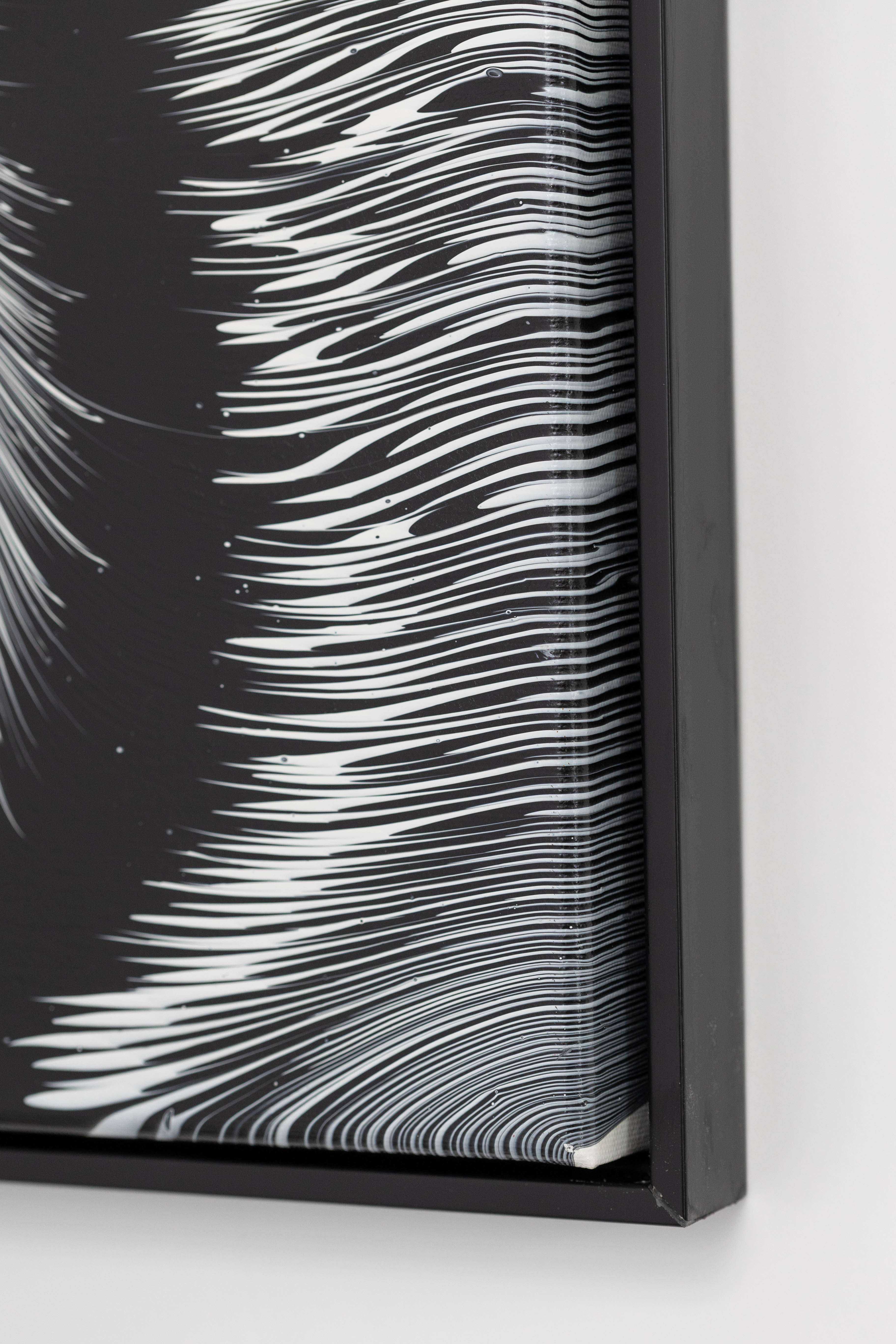 Monochrome Feathers 1